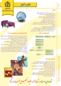 پوستر اداره آمار مدیریت آمار و فناوری اطلاعات دانشگاه - 1388